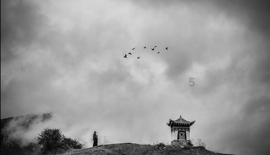 一场持续1780天的实验：8只老鼠，真的预知了人类的未来？