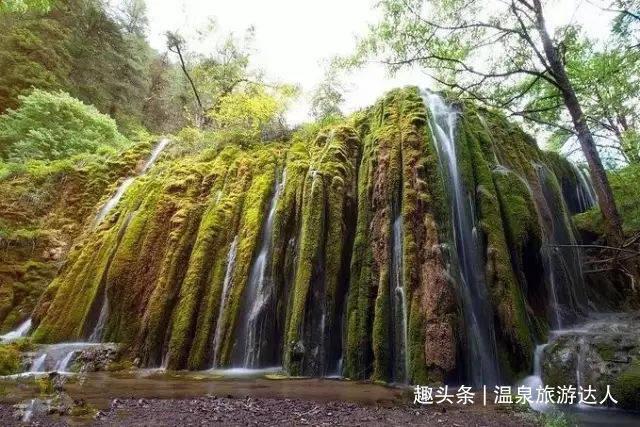 布什系情报帝国成型:苏德美情报机构的哈里曼·布什联盟