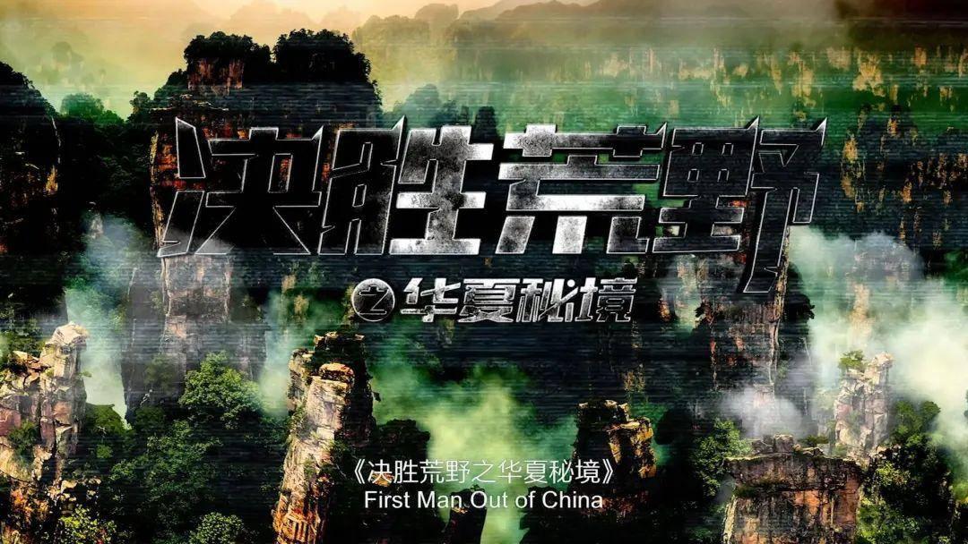 欢乐打砖块2选关版