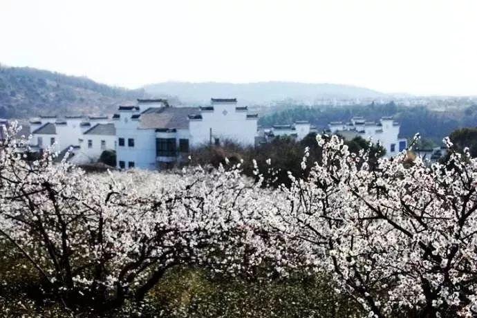传记片《迈克尔》曝黑白片场照 MJ练舞神似复活