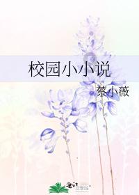 超三国无双4