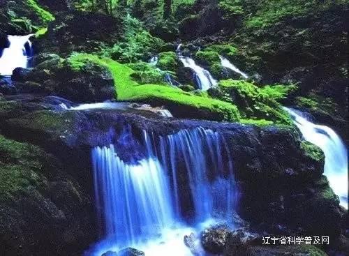 河南一男孩在医院独自照顾爸爸,妈妈去世,只有他和爸爸相依为命。