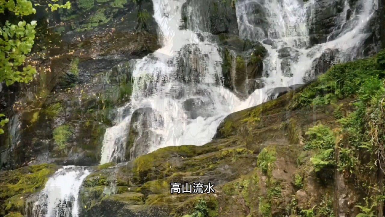 抖音普通膳食营养品类目报白怎么操作？膳食营养品报白商家需要满足哪些条件？