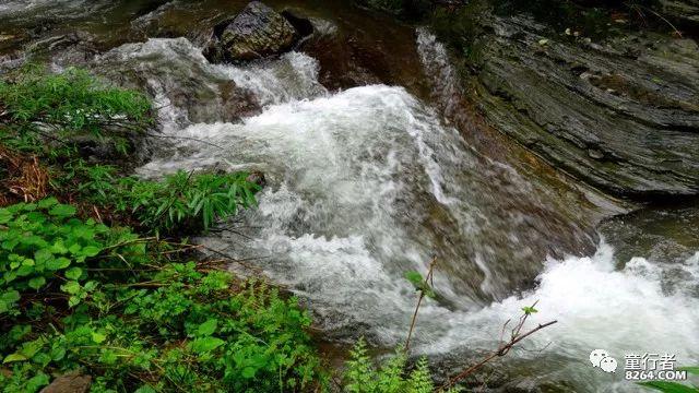 宋慧乔造型拉胯,江疏影大气,53岁俞飞鸿扛住了
