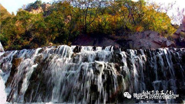 XGP会员福利无法显示