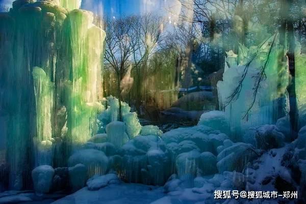 龙耀七载 共振四海| 傲雪棋品牌七周年庆典璀璨开启,荣耀绽放